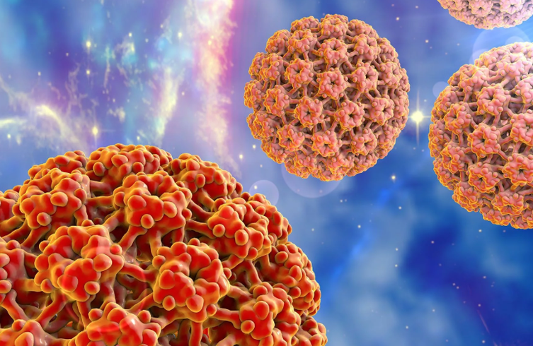 Human papillomavirus