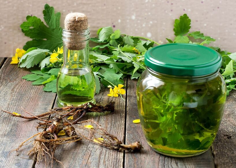 Celandine infusion to fight papillomas